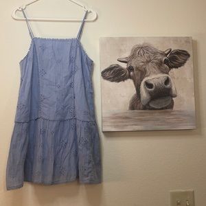 BNWT aerie dress